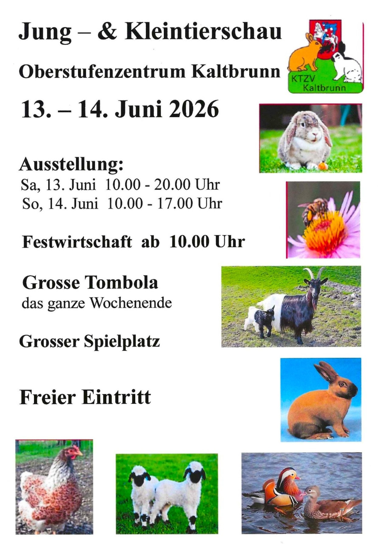 Flyer Kleintierschau Kaltbrunn 2026